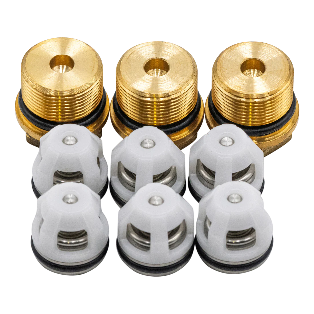 AR North America AR42762 Check Valves With Valve Caps For RSV Series Pumps