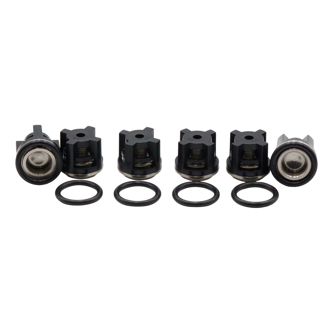 AR North America AR1828 Check Valve Kit for RKV, GRKV Pumps