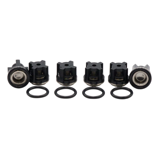 AR North America AR1828 Check Valve Kit for RKV, GRKV Pumps