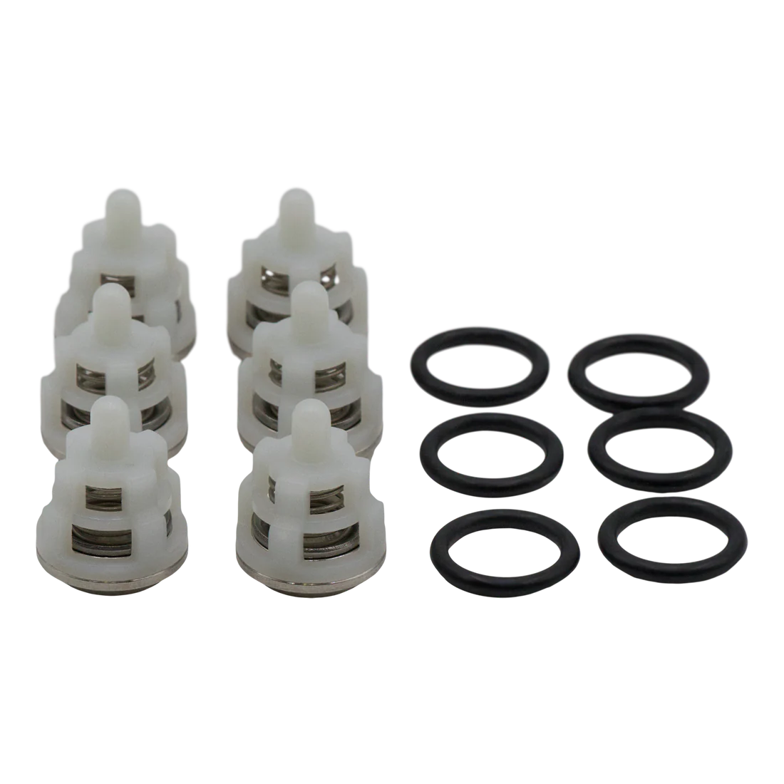 UDOR USA 6061.01 Kit 1 Valve Kit for P Series Pumps