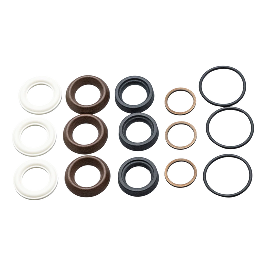 AR North America AR42556 Pump Seal Kit, 15MM Fits RRV & RRA Pumps
