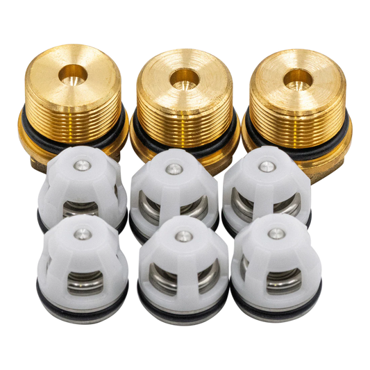 AR North America AR42762 Check Valves With Valve Caps For RSV Series Pumps