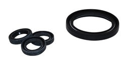 AR North America AR42474 Oil Seal Kit, Fits RCA & RCV Series Kits