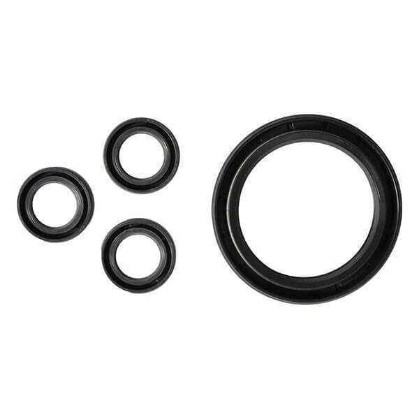 AR North America AR42555 Oil Seal Kit Fits RRV, RR, RRA Series Pumps