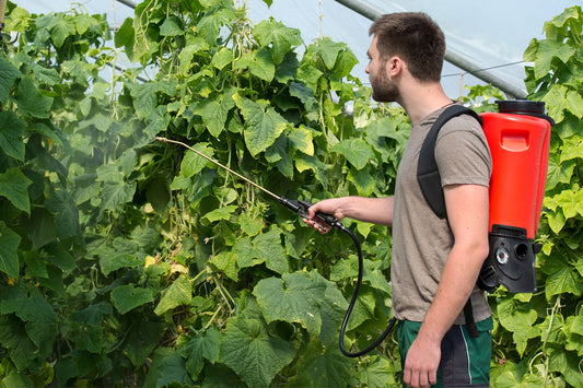 Birchmeier 12089801 REB 15 AC1 Including Battery and Charger