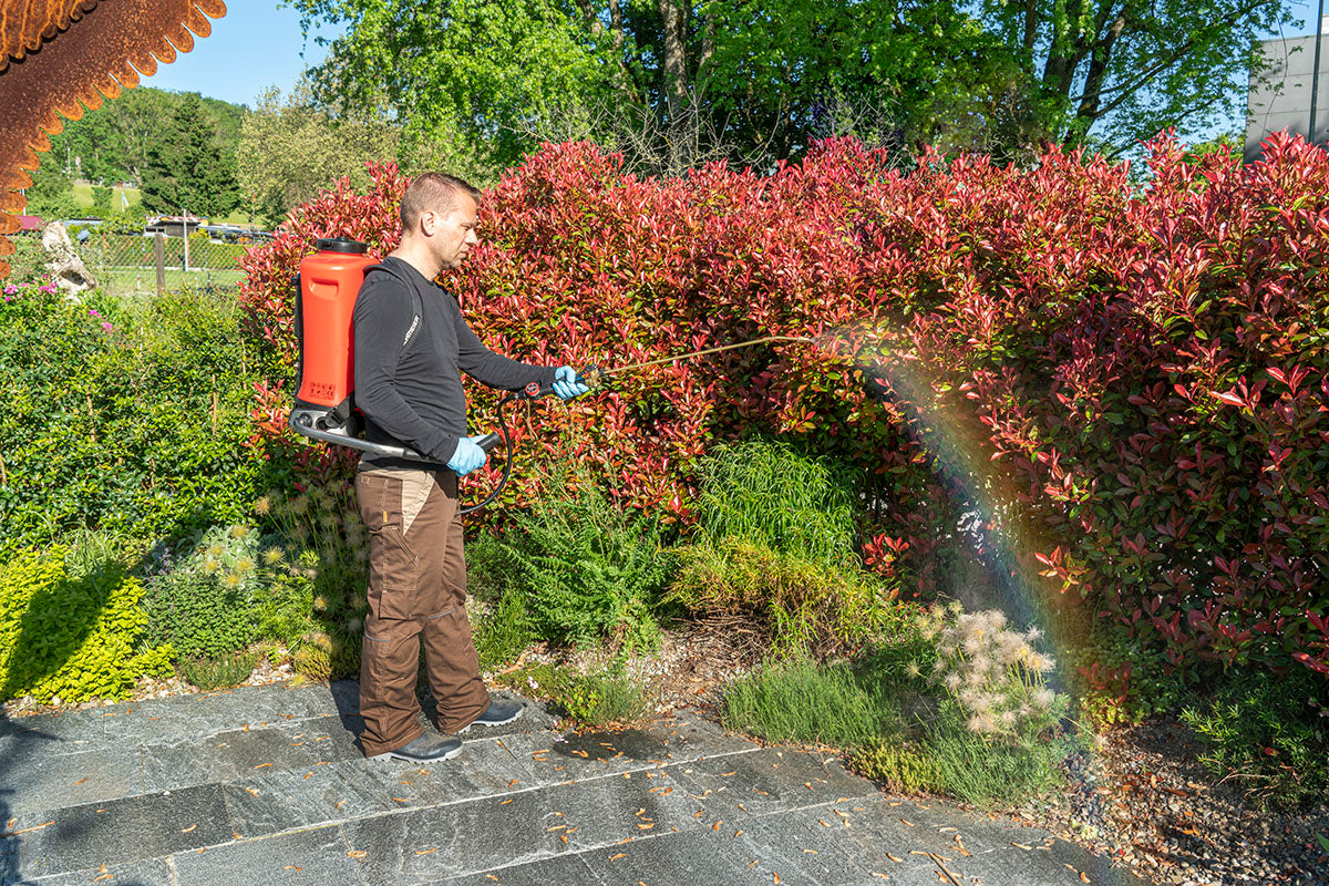 Birchmeier 12004501 Flox 10 10 Gallon AT3 Backpack Pump Sprayer (Adjustable nozzle 1.3 mm / NBR)